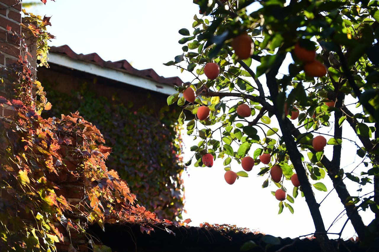 Photo Park Guesthouse Seoul Ngoại thất bức ảnh