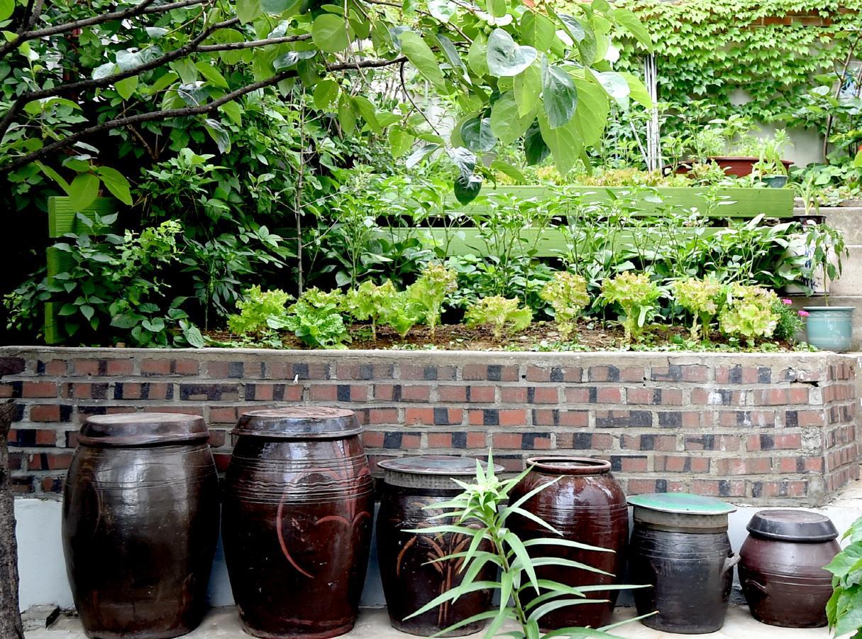 Photo Park Guesthouse Seoul Ngoại thất bức ảnh